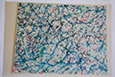 %_tempFileName130x110%20DSC_0196%